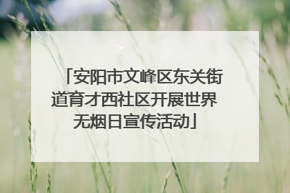 安阳市文峰区东关街道育才西社区开展世界无烟日宣传活动