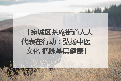 宛城区茶庵街道人大代表在行动：弘扬中医文化 把脉基层健康