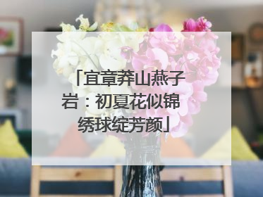 宜章莽山燕子岩：初夏花似锦 绣球绽芳颜
