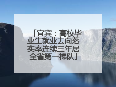 宜宾：高校毕业生就业去向落实率连续三年居全省第一梯队