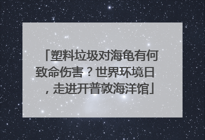 塑料垃圾对海龟有何致命伤害？世界环境日，走进开普敦海洋馆