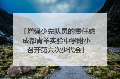 增强少先队员的责任感 成都青羊实验中学附小召开第六次少代会