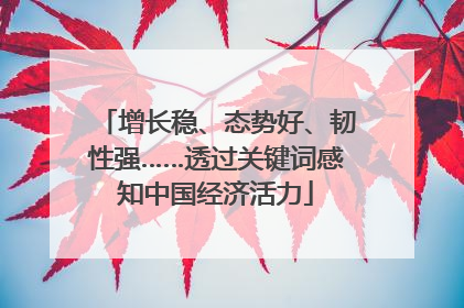 增长稳、态势好、韧性强……透过关键词感知中国经济活力