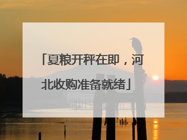 夏粮开秤在即，河北收购准备就绪