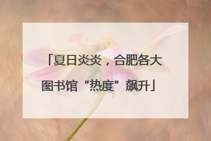 夏日炎炎，合肥各大图书馆“热度”飙升