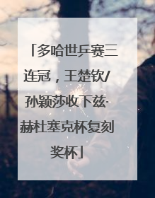 多哈世乒赛三连冠，王楚钦/孙颖莎收下兹·赫杜塞克杯复刻奖杯