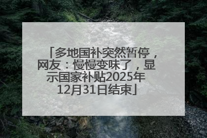 多地国补突然暂停，网友：慢慢变味了，显示国家补贴2025年12月31日结束