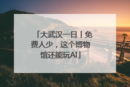 大武汉一日丨免费人少，这个博物馆还能玩AI
