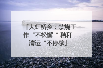 大虹桥乡：禁烧工作“不松懈“ 秸秆清运“不停歇