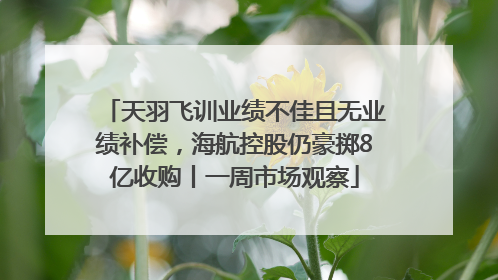天羽飞训业绩不佳且无业绩补偿，海航控股仍豪掷8亿收购丨一周市场观察