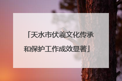 天水市伏羲文化传承和保护工作成效显著