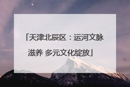 天津北辰区：运河文脉滋养 多元文化绽放