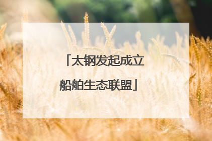 太钢发起成立船舶生态联盟