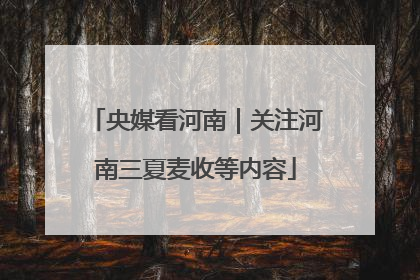 央媒看河南｜关注河南三夏麦收等内容