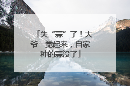 失“蒜”了！大爷一觉起来，自家种的蒜没了