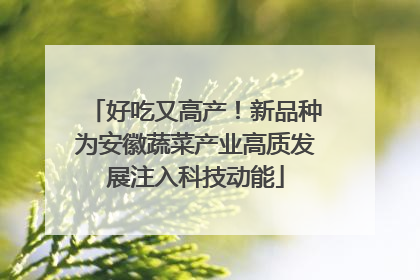 好吃又高产！新品种为安徽蔬菜产业高质发展注入科技动能