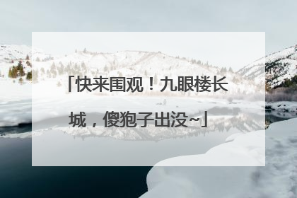 快来围观！九眼楼长城，傻狍子出没~