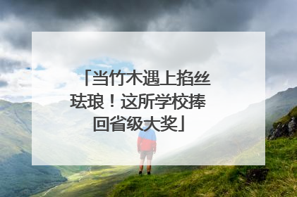 当竹木遇上掐丝珐琅！这所学校捧回省级大奖