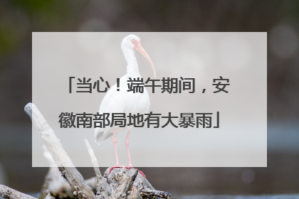 当心！端午期间，安徽南部局地有大暴雨