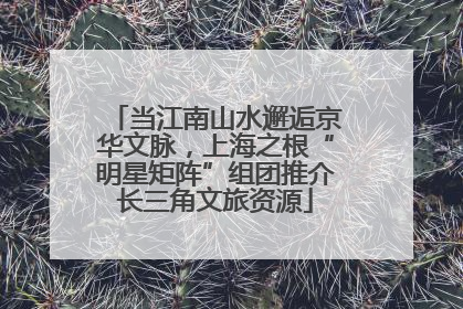 当江南山水邂逅京华文脉，上海之根“明星矩阵”组团推介长三角文旅资源