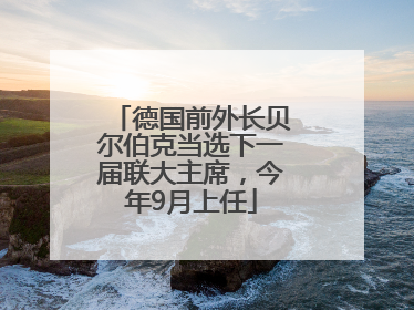 德国前外长贝尔伯克当选下一届联大主席，今年9月上任