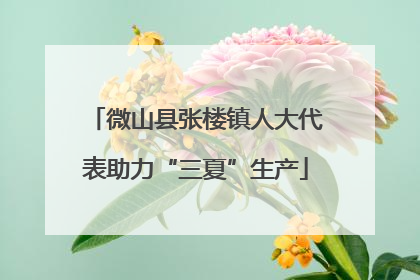 微山县张楼镇人大代表助力“三夏”生产