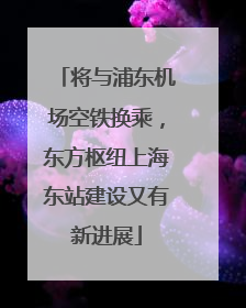 将与浦东机场空铁换乘，东方枢纽上海东站建设又有新进展