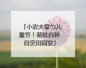 小农夫掌勺儿童节！萌娃自种自烹田园宴