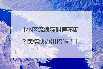 小区流浪猫叫声不断？民情快办出招啦！