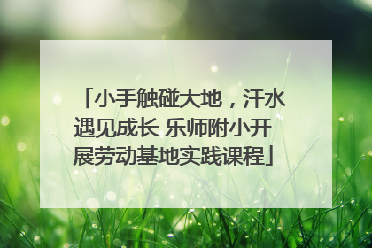 小手触碰大地，汗水遇见成长 乐师附小开展劳动基地实践课程
