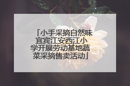 小手采摘自然味 宜宾江安西江小学开展劳动基地蔬菜采摘售卖活动