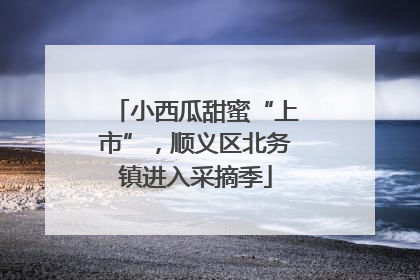小西瓜甜蜜“上市”，顺义区北务镇进入采摘季