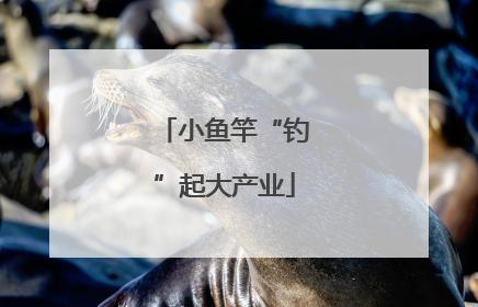 小鱼竿“钓”起大产业