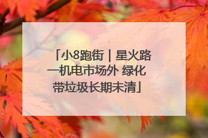 小8跑街｜星火路一机电市场外 绿化带垃圾长期未清