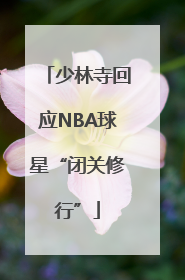少林寺回应NBA球星“闭关修行”