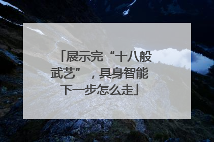 展示完“十八般武艺”，具身智能下一步怎么走