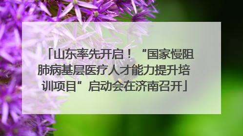 山东率先开启！“国家慢阻肺病基层医疗人才能力提升培训项目”启动会在济南召开