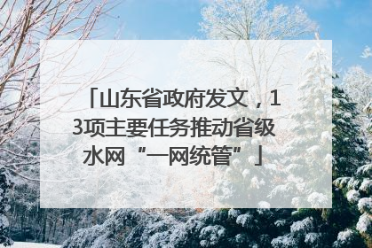 山东省政府发文，13项主要任务推动省级水网“一网统管”