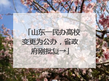 山东一民办高校变更为公办，省政府刚批复→