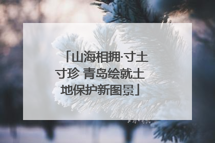 山海相拥·寸土寸珍 青岛绘就土地保护新图景