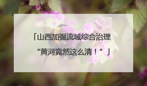 山西加强流域综合治理 “黄河竟然这么清！”