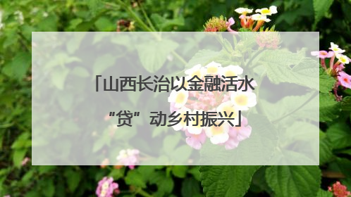 山西长治以金融活水“贷”动乡村振兴
