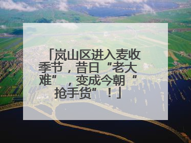 岚山区进入麦收季节，昔日“老大难”，变成今朝“抢手货”！