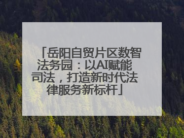 岳阳自贸片区数智法务园：以AI赋能司法，打造新时代法律服务新标杆