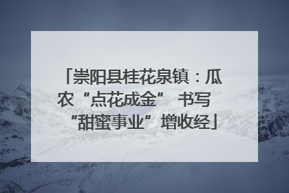 崇阳县桂花泉镇：瓜农“点花成金” 书写“甜蜜事业”增收经
