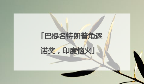 巴提名特朗普角逐诺奖，印度恼火