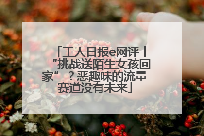 工人日报e网评丨“挑战送陌生女孩回家”？恶趣味的流量赛道没有未来