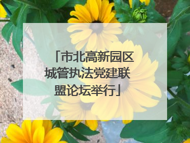 市北高新园区城管执法党建联盟论坛举行