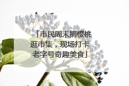 市民周末摘樱桃逛市集，现场打卡老字号奇趣美食