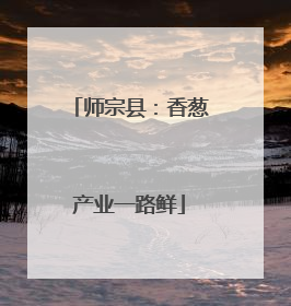 师宗县：香葱产业一路鲜
